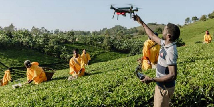 Discover how smart agriculture is transforming farming practices in Africa, improving productivity, and enhancing food security.