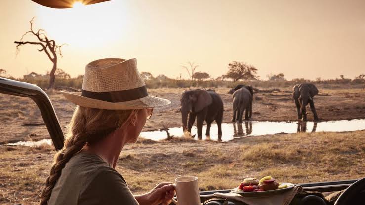 Explore luxury travel in Africa with exclusive safari lodges, private island getaways, and immersive cultural experiences for discerning travelers.