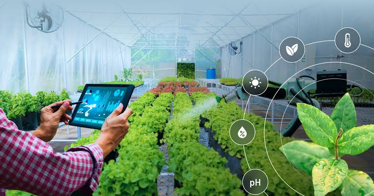 IoT is transforming modern agriculture in Africa, enhancing productivity and food security through data-driven solutions.