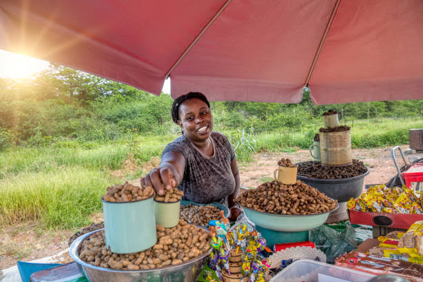 Discover African markets to find unique souvenirs and connect with local artisans. Experience vibrant bazaars and rich cultural traditions.