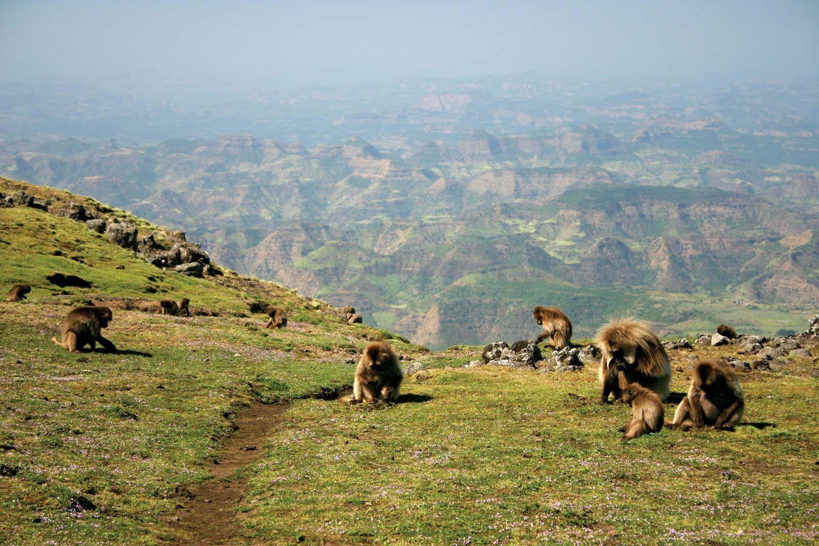 Discover the top 10 hidden gems in Africa for adventure travellers, from remote deserts to breathtaking mountains and islands.