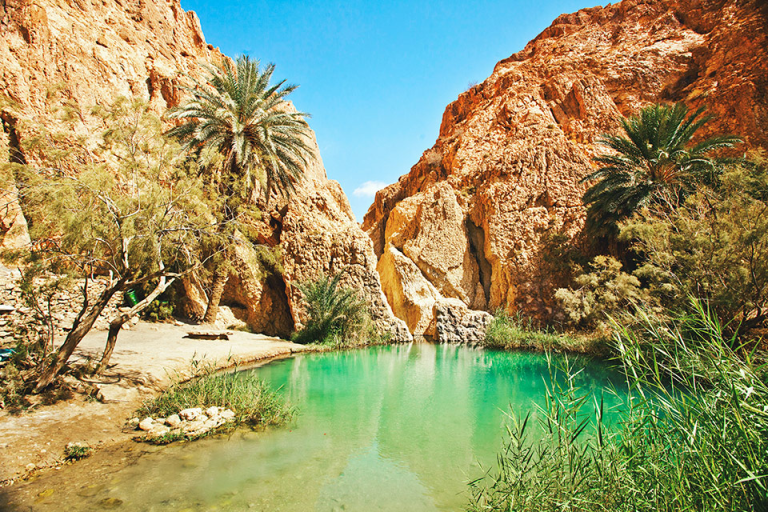 The Remote Oases of the Sahara