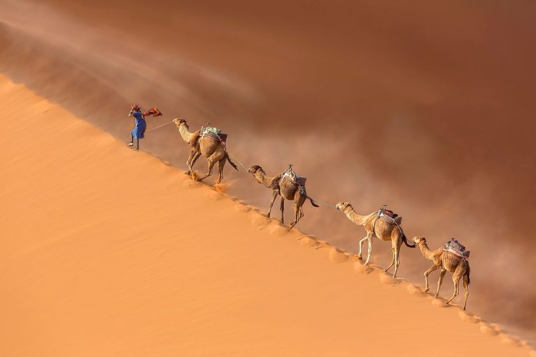 Exploring the Sahara Desert: What to See and Do