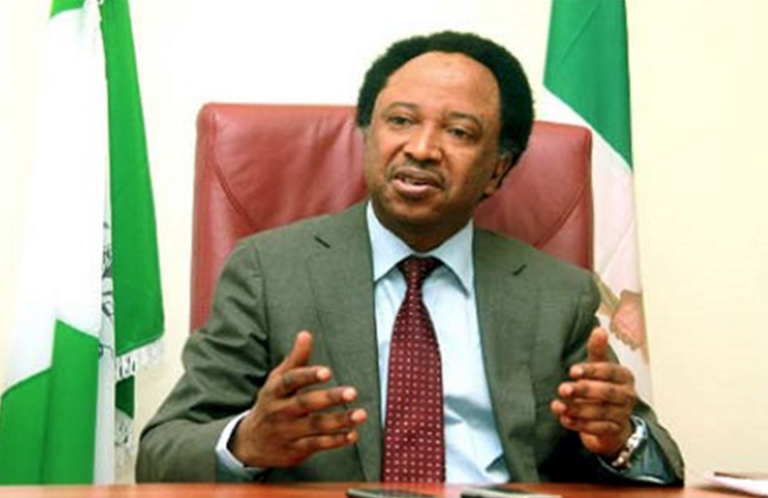 Senator Shehu Sani Commends Tinubu’s Foreign Travels