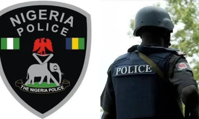 Imo Police Enforce Ban on Fireworks for Festive Season