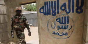 Nigeria Lawmakers Probe USAID Over Boko Haram Funding Claims